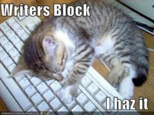 WRiters block cat